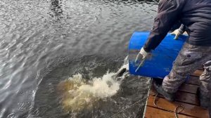 copy_A08F24DB-E846-418E-AEEF-4128F99E0500