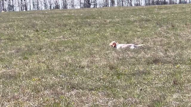 Федора.14.04.26