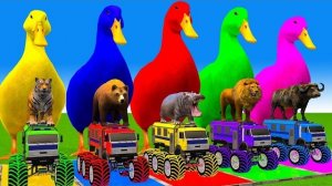 5 мультяшных персонажей: утка, корова, слон, тигр, лев. Раскраска Дикие животные у фонтана