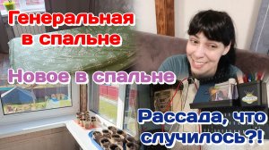 Генеральная в спальне.Что то новенькое./Рассада.Что случилось.Болталка Часть 1