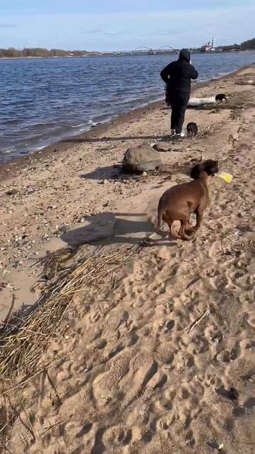 Красивая Счастливая жизнь Катя