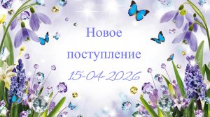 Новое поступление 15-04-2026