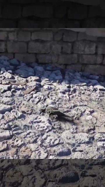 Хамелеон в Crimson Desert 😶🌫