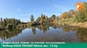 Воблер Танцор для рыбалки на щуку, окуня, судака и других рыб.