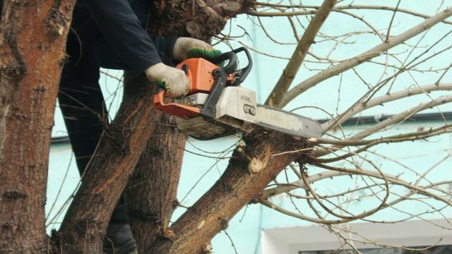 Уборка автодорог от пыли и уход за зелёными насаждениями продолжается