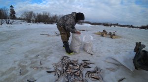 НА СЕВЕРЕ ЕСЛИ ЛОВЯТ, ЗНАЧИТ МЕШКАМИ! ПЕРЕСТАВИЛИ 200 МЕТРОВ ЖЕРЛИЦ, 20 КГ СОРОГИ В ПАЛАТКЕ часть 11