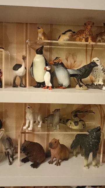 мой зоопарк