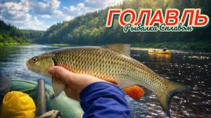 Августовский СПЛАВ и JACKALL SUISEN | Ловля ГОЛАВЛЯ на спиннинг