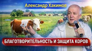 Благотворительность и защита коров - Александр Хакимов