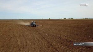 За угрозу пчёлам оштрафовали руководителя сельхозпредприятия в Братском районе