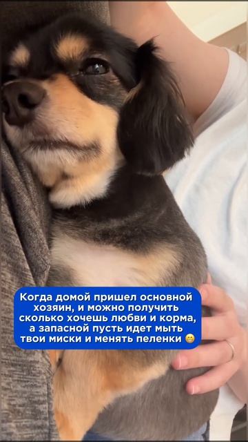 Ты мне больше не нужен...