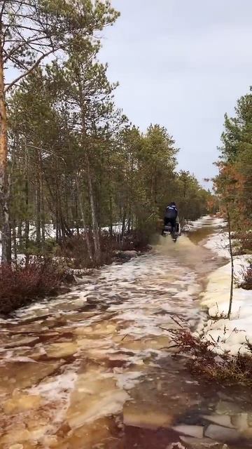 Буран едет по болоту.