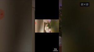 ПРОДОЛЖЕНИЕ ТРЕТЕЙ ЧАСТИ НЕ БУДЕТ🙄