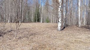 первое серебро нового сезона