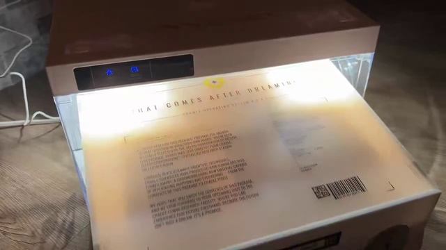 Так выглядит пресс кит Pragmata