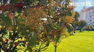 Светлая Пасха в городе-отеле "Бархатные сезоны"