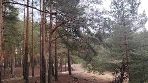 Своя улица жизни