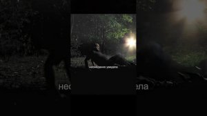 Фильм на вечер 🌙