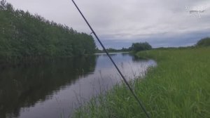 АКТИВНАЯ РЫБАЛКА НА СПИННИНГ