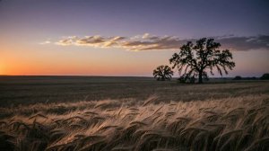 Пока сердце не остынет