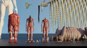 Сравнение размеров титанов в Attack on Titan в 3D, 2024 год | Самые большие титаны в Attack on Titan