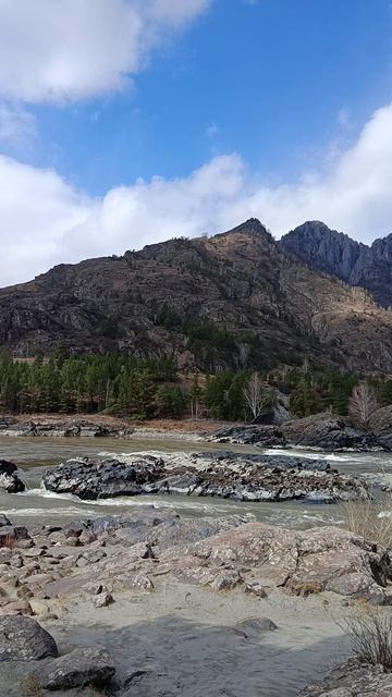 поездка за продуктами.