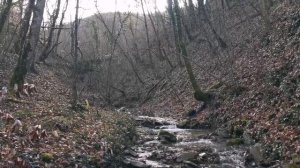 Водопад в щели Топчанова, Пшада