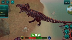 Выживание Гиги с римоделью на санд боксе+гнездование ;-) 💤