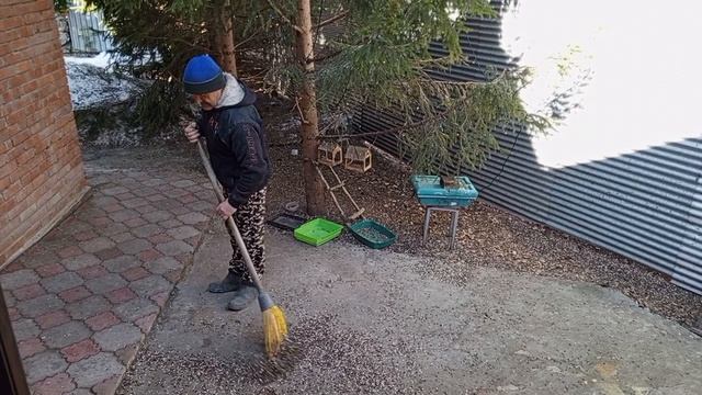 доброе утро белки