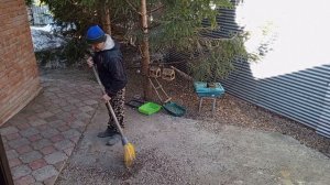 доброе утро белки