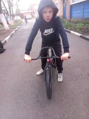 голодные игры с котом