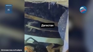 Кадры из-под завалов: снежная лавина накрыла мать с ребёнком в Дагестане