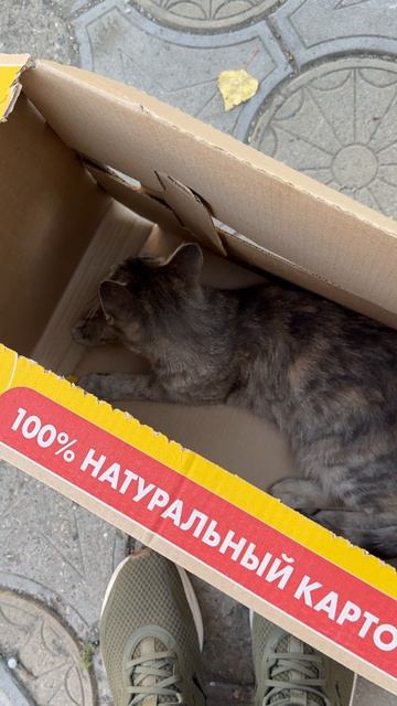 100% натуральный картофель 🥔