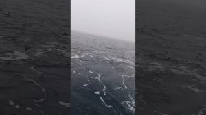 Я НИКОГДА НЕ  ВИДЕЛ  МОРЕ #Море