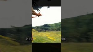 Фильм на вечер 🌙