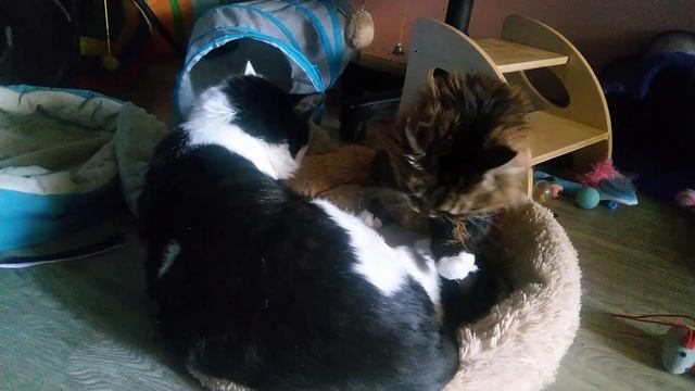 Умывание после завтрака