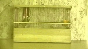 4. 25.02.26г. Зелёный №245 15.04.2025г.р.