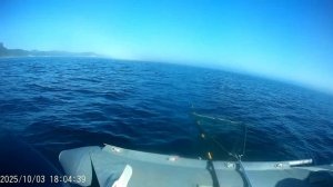 Мыс Поворотный