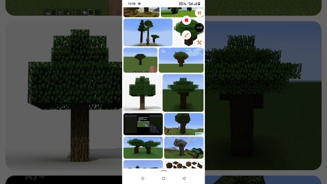 Дуб Майнкрафт это яблоня? откуда яблоки? тирория