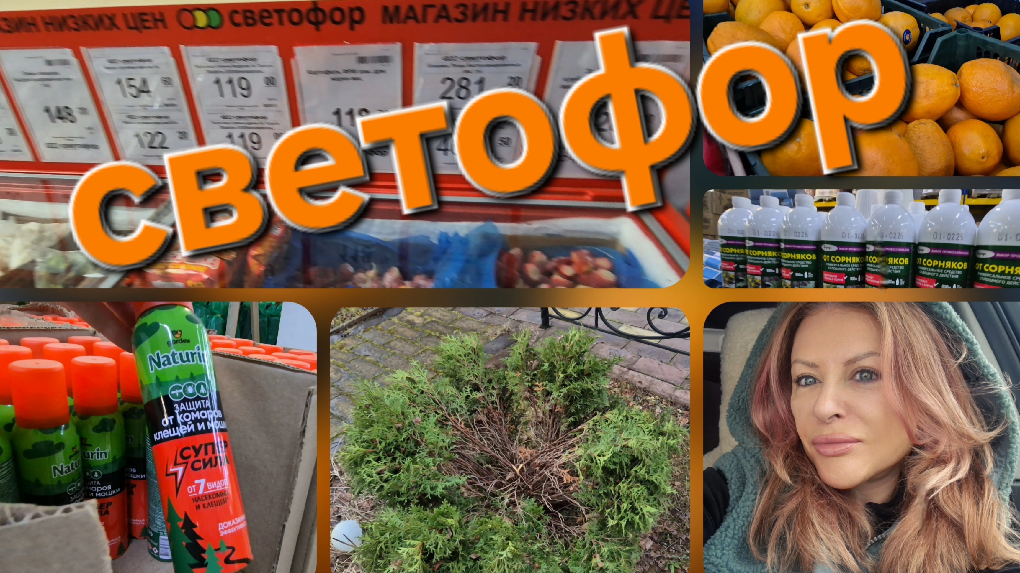 Уехали на дачу,заехали в Светофор