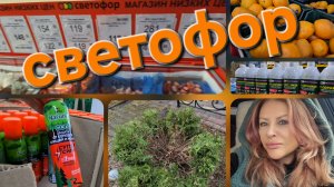 Уехали на дачу,заехали в Светофор