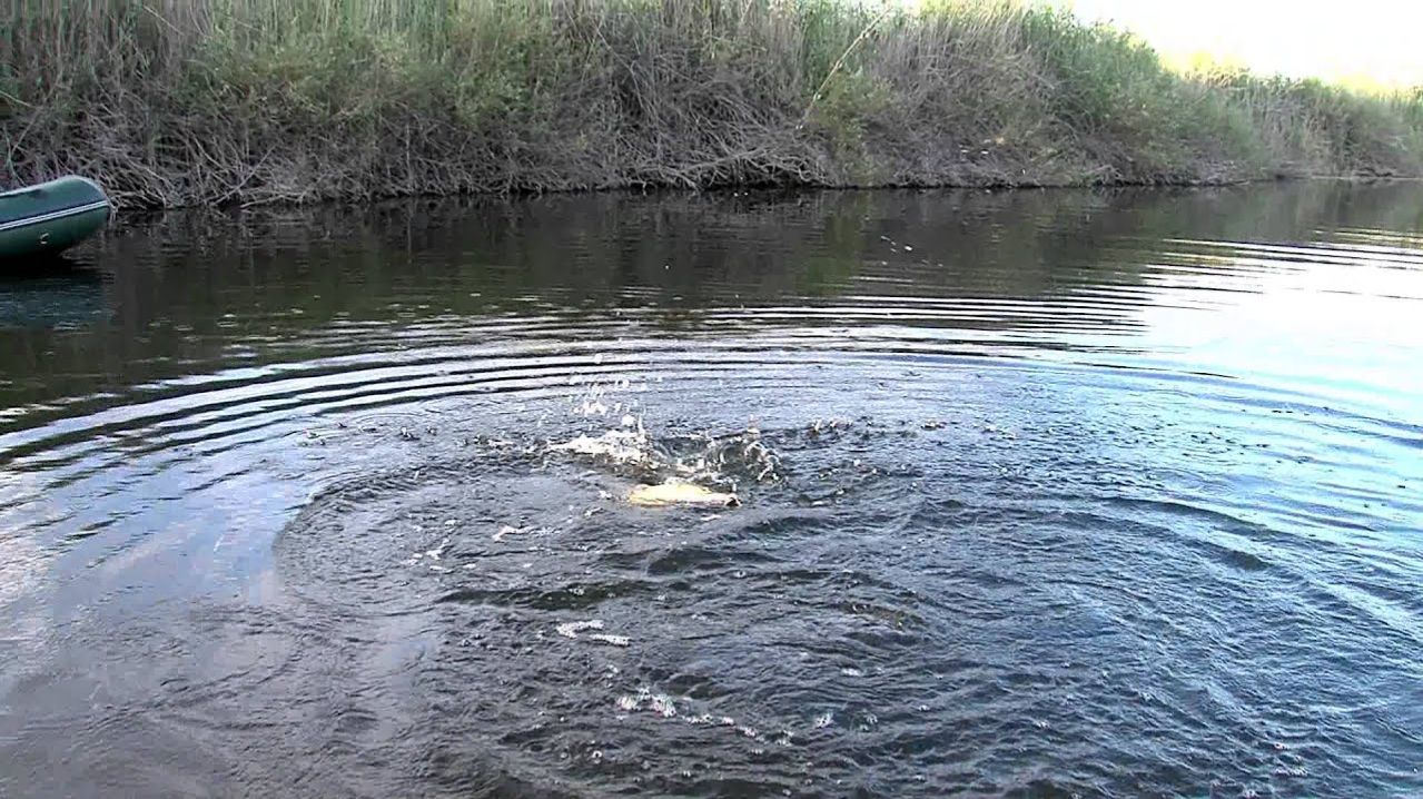 Самая Лучшая Зимняя Рыбалка 2025 - 2026 на RUTUBE. Ловлю речных Монстров. Лучшая Поклёвка на Щуку