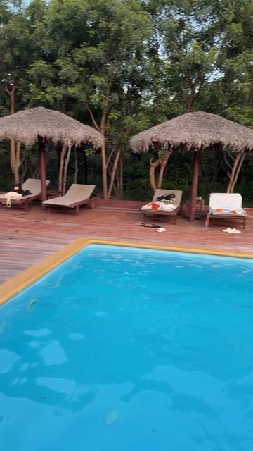 Ночь в джунглях