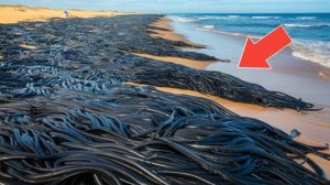 Случаи в природе один на миллион.