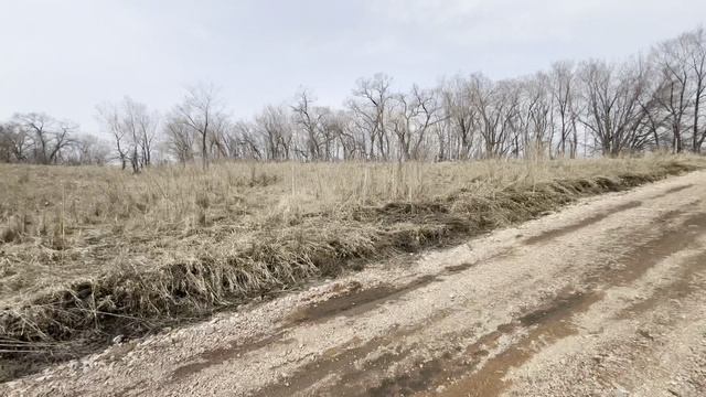 Бедарево, Поселковая улица