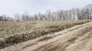 Бедарево, Поселковая улица