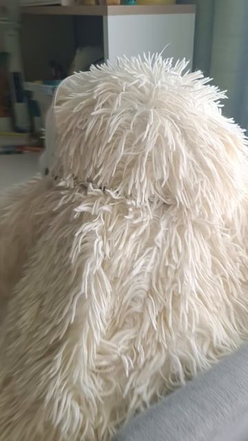 снюсаед первый вид