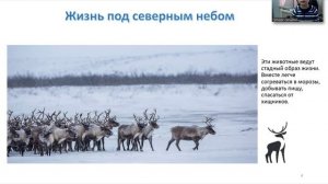 IT-детка 2026. Слатин Мирон.