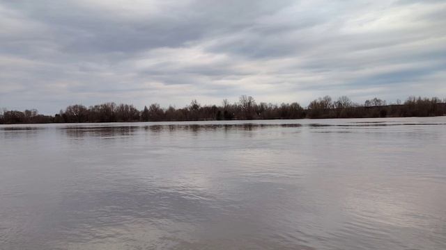 Полноводная Ока ( 13 апреля)