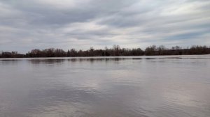 Полноводная Ока ( 13 апреля)